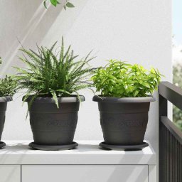 Tava rotunda pentru flori 24 pcs Negru Ø 14 x 2 cm Plastic GartenMobel Dekor