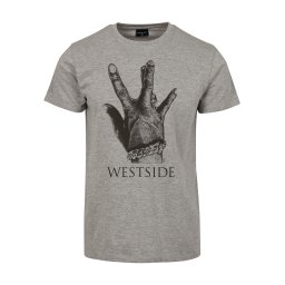 Westside Connection 2.0 Tee heather gray