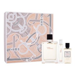Hermes Terre d'Hermes Set cadou