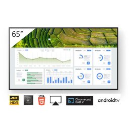Ecran profesional SONY FW-65BZ30L