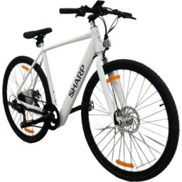 Biciclete electrice BK-GS03E-W, Autonomike 85 km, Viteza max. 25 km/h, Greutate max. 120 kg, Alb