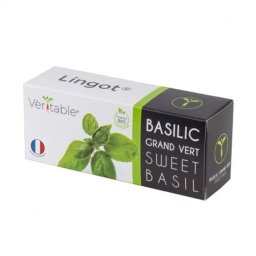 Véritable Lingot Busuioc dulce - Organic