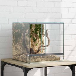 Habita pentru reptile si amfibii Alb 30 x 30 x 30 cm Sticla GartenMobel Dekor