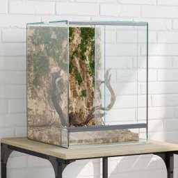 Habita pentru reptile si amfibii Alb 30 x 30 x 40 cm Sticla GartenMobel Dekor