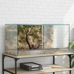 Habita pentru reptile si amfibii Alb 80 x 40 x 40 cm Sticla GartenMobel Dekor
