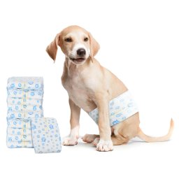 Pampers de unica folosinta pentru caini baieti 30 pcs Alb S GartenMobel Dekor