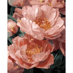 Set pictura pe numere, cu sasiu, Farmecul bujorilor, 40x50 cm