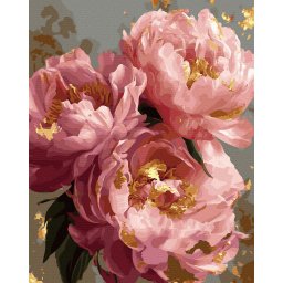 Set pictura pe numere, cu sasiu, Bujori luxurianti, 40x50 cm