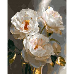 Set pictura pe numere, cu sasiu, Bujori eleganti, 40x50 cm