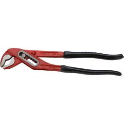 Cleste papagal CRV