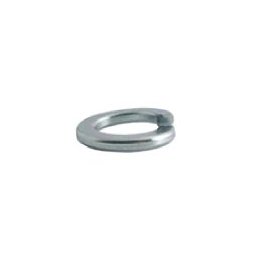 Saiba elastica Grower DIN 127B