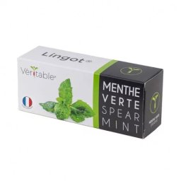Véritable Lingot Mentă