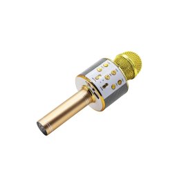 Microfon karaoke cu difuzor MIC10-G Gold