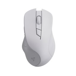 Mouse WM-308 – wireless, optic 1600 DPI, 3 butoane + scroll, alb