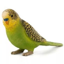 Mojo: Figură animal papagal verde ondulat - 8 cm
