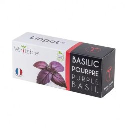Véritable Lingot Busuioc violet - BIO
