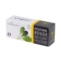 Véritable Lingot Muștar roșu cu frunze - BIO