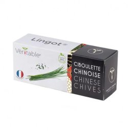 Veritable Lingot Arpagic chinezesc - BIO
