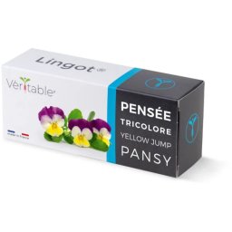 Véritable Lingot Pansy - BIO