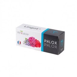 Véritable Lingot Flox