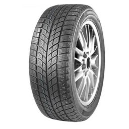 Doublestar 235/55 R20 Winterking DW09 102H