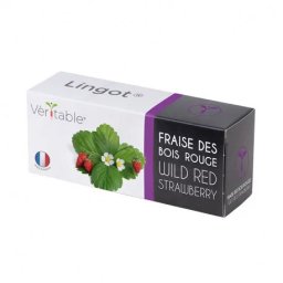 Căpșuni roșii sălbatice Véritable Lingot