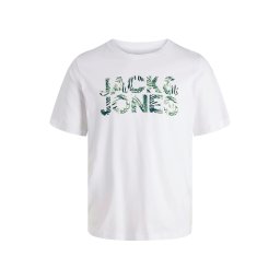 Jack & Jones Junior Tricou 'JJEJEFF' verde / verde limetă / alb