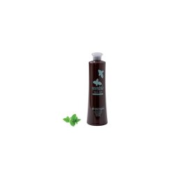 Ulei pentru masaj Mentolat 500 ml Roial
