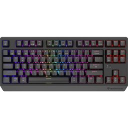 Tastatura mecanica pentru gaming Genesis Thor 230 TKL, RGB, Wireless, USB, Switch Outemu Red, Negru
