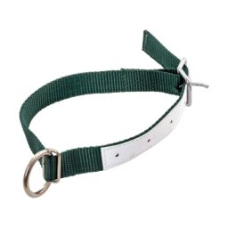 Colier pentru oi, verde, 60 cm :: Verde