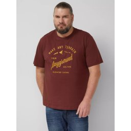 s.Oliver Big Sizes Tricou barbati big sizes, cu decolteu la baza gatului si imprimeu cu text, Rosu inchis (SELECTATI MARIMEA: 4XL)