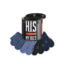 H.I.S Șosete bleumarin / albastru fumuriu / albastru amestec / negru