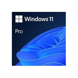 Sistem de operare SW OEM GGK WIN 11 PRO 64B/ENG 1PK 4YR-00316 MS