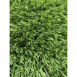 Gazon Artificial Sri Lanka, Inaltime Fir 30 mm, Latime 1m, Marime 100 x 600 cm, Verde, Antialergic, Polipropilena, Curte, Terasa, Balcon, Piscina, Loc de Joaca, Gradinita, Cresa