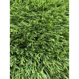Gazon Artificial Sri Lanka, Inaltime Fir 30 mm, Latime 1m, Marime 100 x 500 cm, Verde, Antialergic, Polipropilena, Curte, Terasa, Balcon, Piscina, Loc de Joaca, Gradinita, Cresa