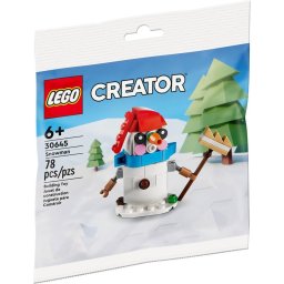 Lego Creator 30645 - Om de zapada