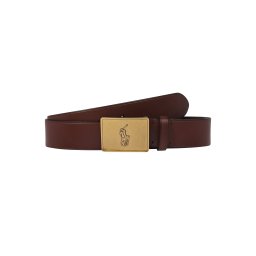 Polo Ralph Lauren Curea castaniu / galben
