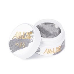Gel de pictura Art Allepaznokcie Silver 5g No14