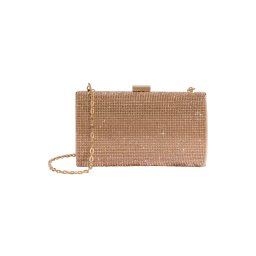 Lipsy Clutch auriu - roz