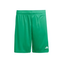 ADIDAS PERFORMANCE Pantaloni sport 'Entrada26' verde / alb