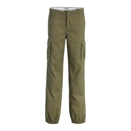 JJ Rebel Pantaloni 'JREBKENNI' oliv