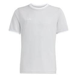 ADIDAS PERFORMANCE Tricou funcțional 'Entrada26' gri piatră / alb