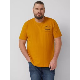 s.Oliver Big Sizes Tricou barbati big sizes, cu decolteu la baza gatului si imprimeu cu text, Galben inchis (SELECTATI MARIMEA: 5XL)