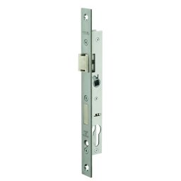 Broască îngropată cu profil de cilindru pentru tâmplărie metalică, ax 10,5 mm, capete pătrate, inox - THIRARD