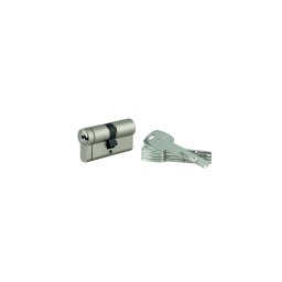 Cilindru Transit 1, 30x30mm, nichelat, 5 chei - THIRARD