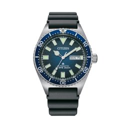 Ceas Barbati, Citizen, Promaster NY0129-07L