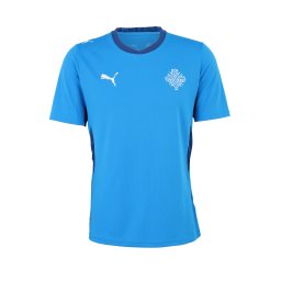 PUMA Tricot 'Island 2026' bleumarin / albastru regal / alb