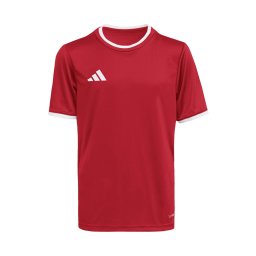 ADIDAS PERFORMANCE Tricou funcțional 'Entrada26' sângeriu / alb