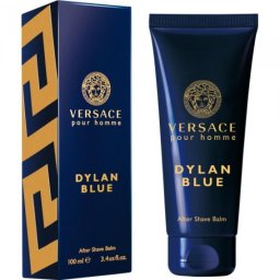 Versace Pour Homme Dylan Blue ASB M 100 ml