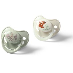 BabyOno Take Care Anatomical Silicone Soothers suzetă Day & Night 6-18m 2 buc